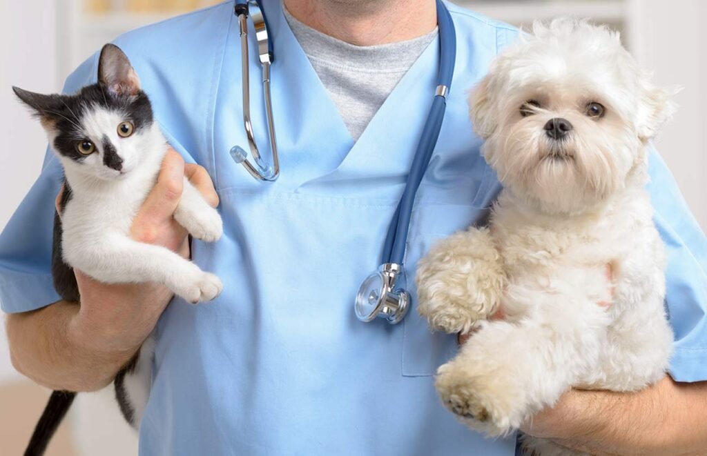 Vacunación y microchip en Almuñécar servicio de vacunación y microchip para mascotas en Almuñécar