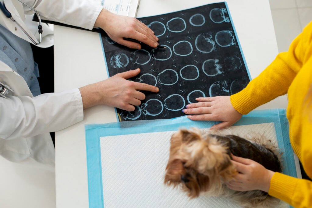 radiografía perros en Almuñécar