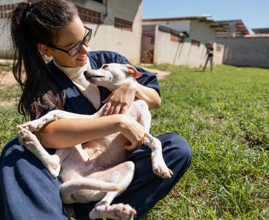 servicio veterinario a domicilio en zona rural de Almuñécar servicio veterinario a domicilio en zona rural de Almuñécar