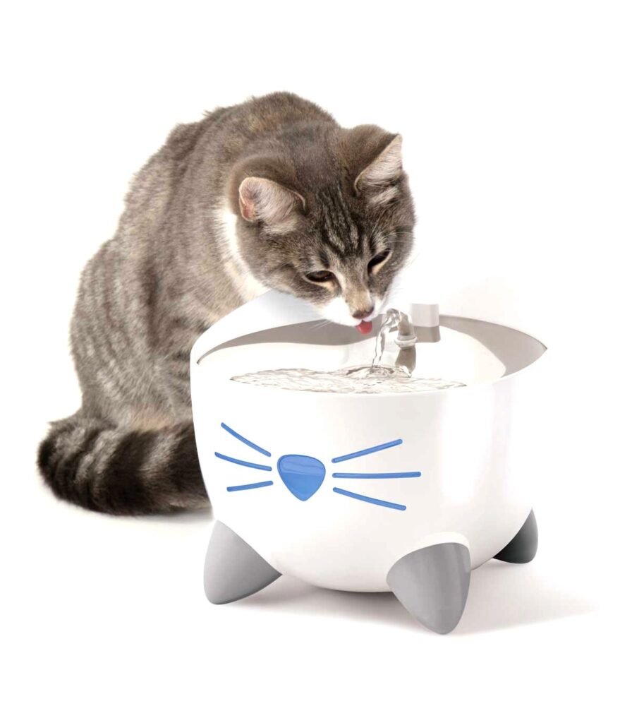 Fuente de agua para mantener hidratado al gato
