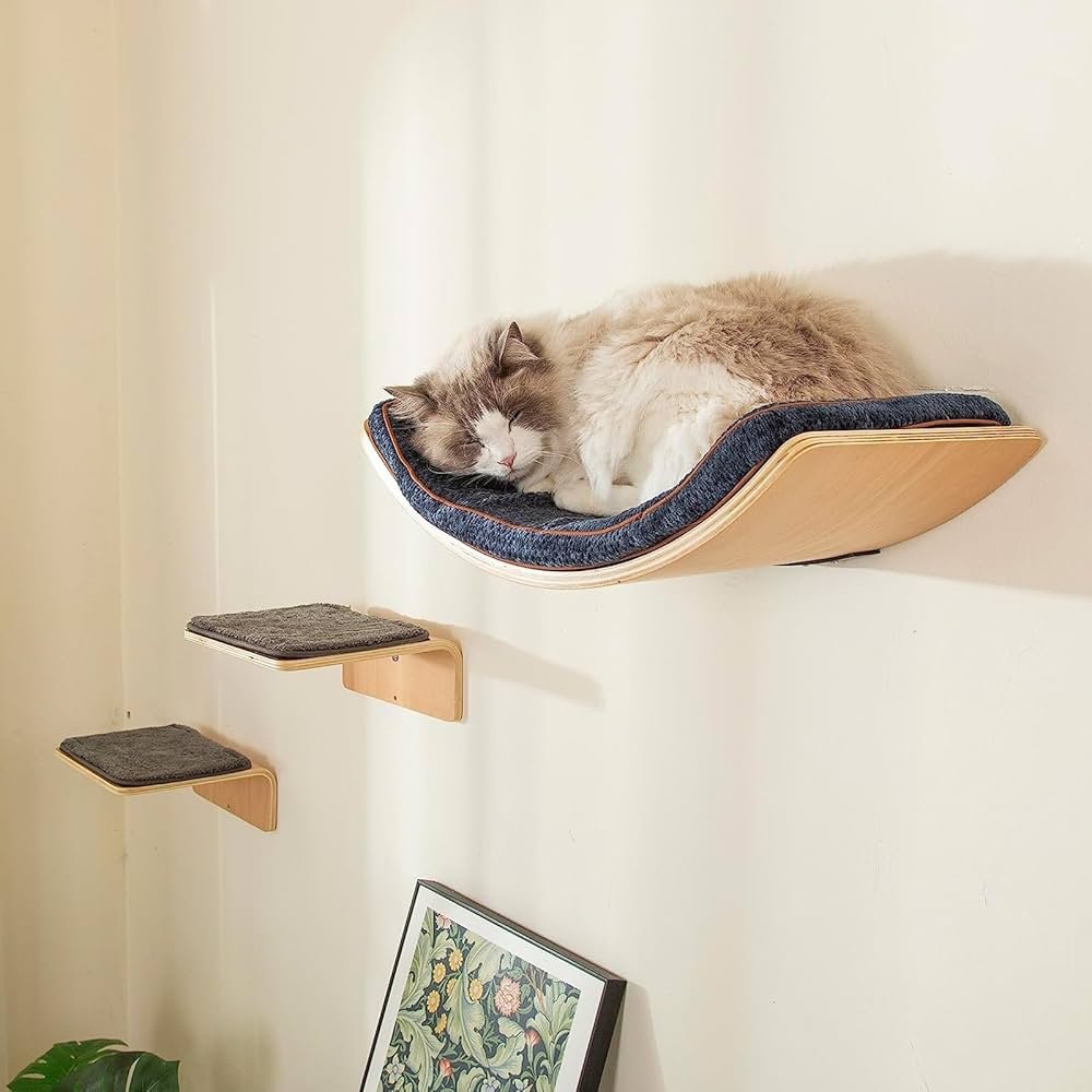 Espacio seguro para gatos en casa